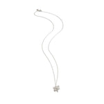 Silver "molecule" cluster and chain shown in full