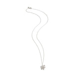 Silver "molecule" cluster and chain shown in full