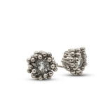 White Gold White Sapphire Stud Earrings