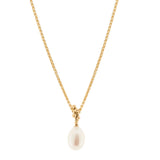 White Pearl Droplet Necklace